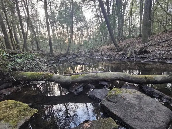 100 Clendenon Rd, Spencer, TN 38585