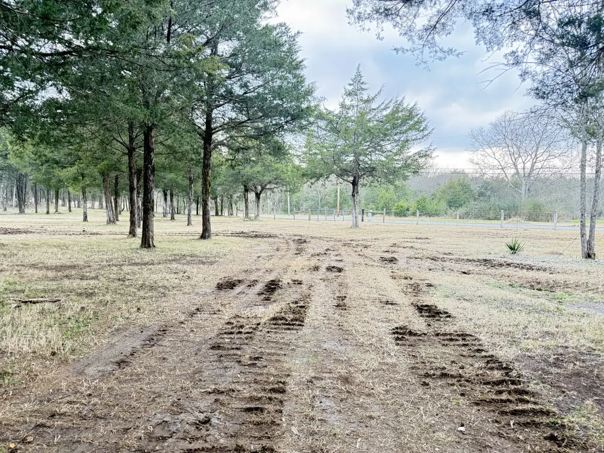 160 Osteen Ln, Chapel Hill, TN 37034 - Image #1