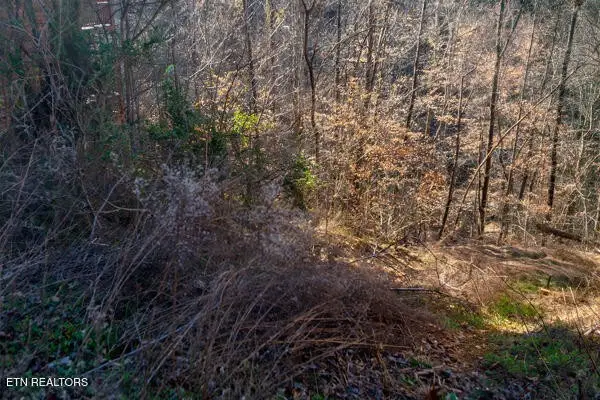 636 Stockton Drive, Sevierville, TN 37876 - #2