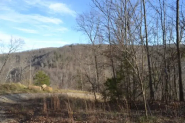 0 Steel Tram Ridge, Crawford, TN 38554 - Image #2