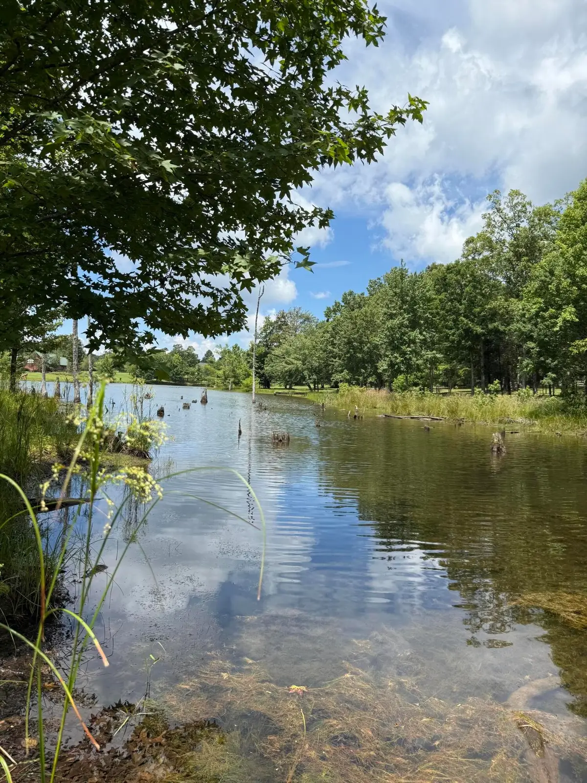 6 Greenfields Way N, Dunlap, TN 37327 - #1