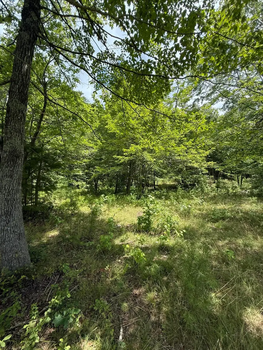 6 Greenfields Way N, Dunlap, TN 37327 - #3