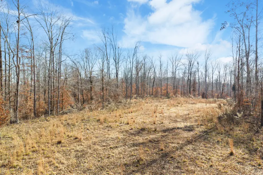 0 Holladay Rd, Parsons, TN 38363 - #2