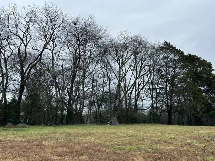 1505 Martha Washington Way, Murfreesboro, TN 37130 - Image #2