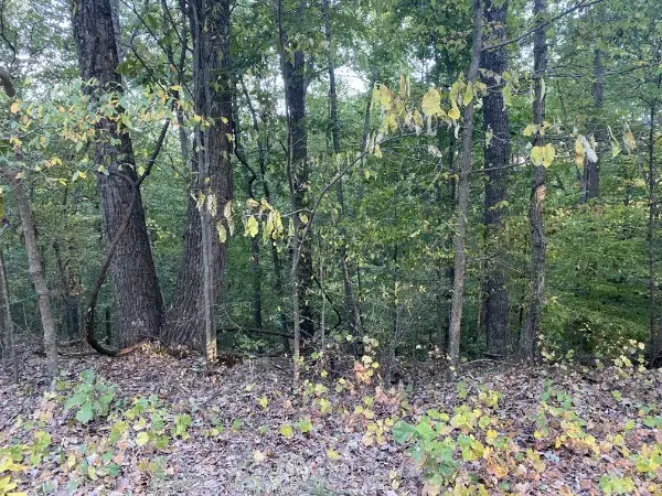 1241 Broadway Ave, New Johnsonville, TN 37134