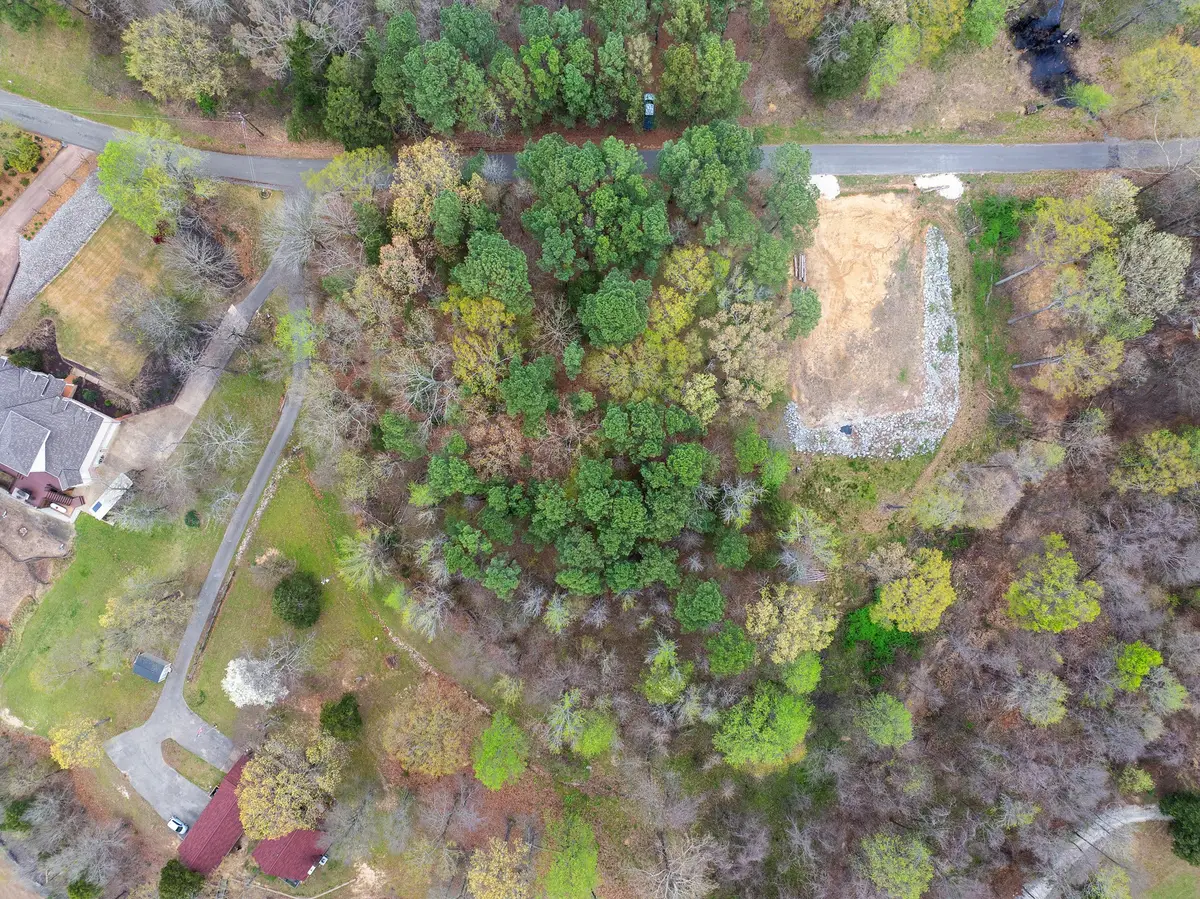 0 Branch Loop, Big Sandy, TN 38221 - Image #1