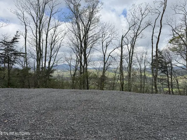 393 Green Forest Rd, Cosby, TN 37722