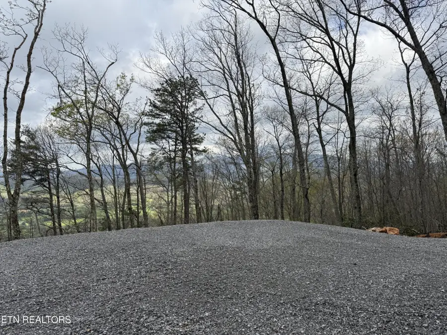 393 Green Forest Rd, Cosby, TN 37722 - #2