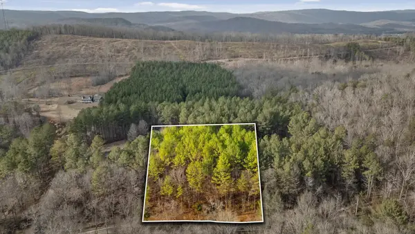 14675 Stormer Road, Bakewell, TN 37373