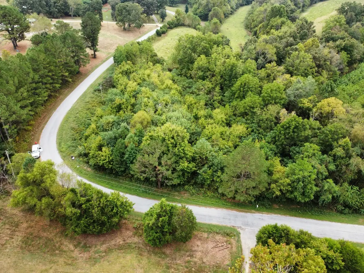 1295 Fesmire Rd, Cedar Grove, TN 38321 - Image #1