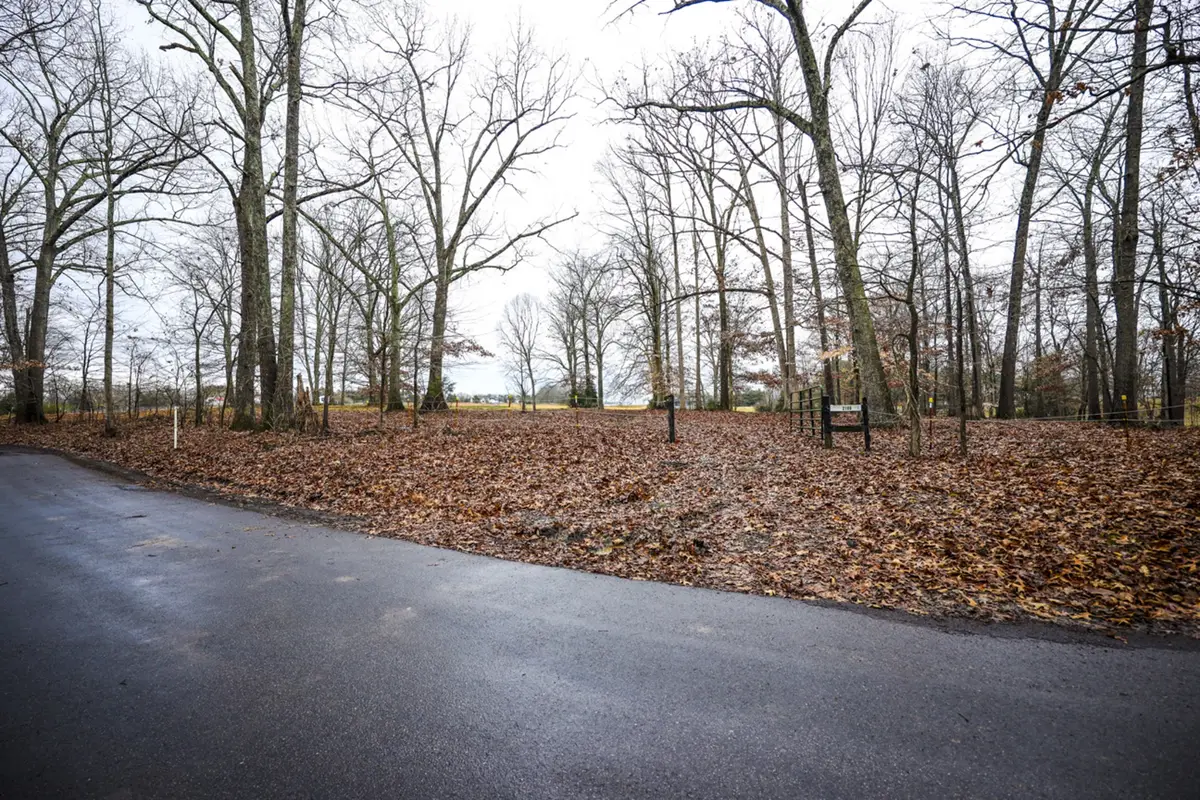 2103 Castelow, Greenbrier, TN 37073 - Image #1