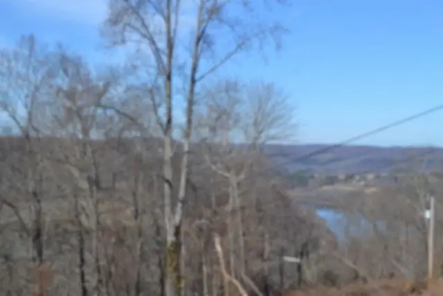 0 Schelley Rd, Gainesboro, TN 38562 - Image #2