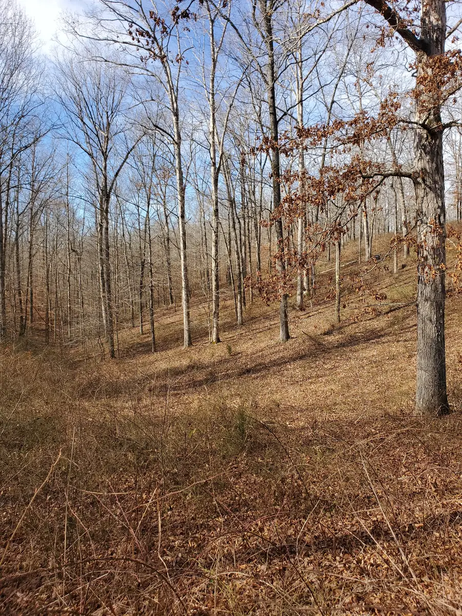 0 Hidden Highlands Ct, McEwen, TN 37101 - Image #3