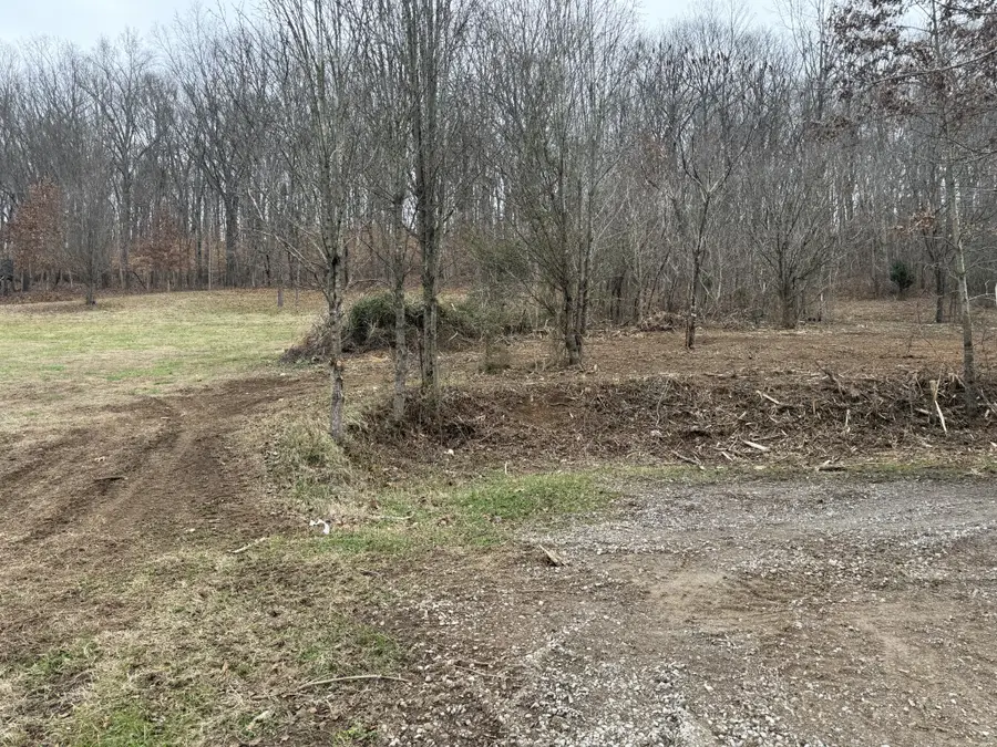 15884 Columbia Hwy, Lynnville, TN 38472 - Image #3