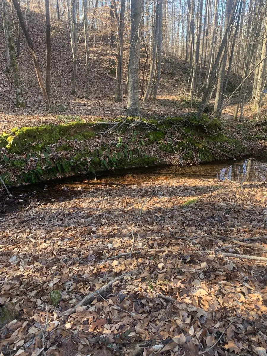 1252 Kelly Rd, Centerville, TN 37033 - Image #2