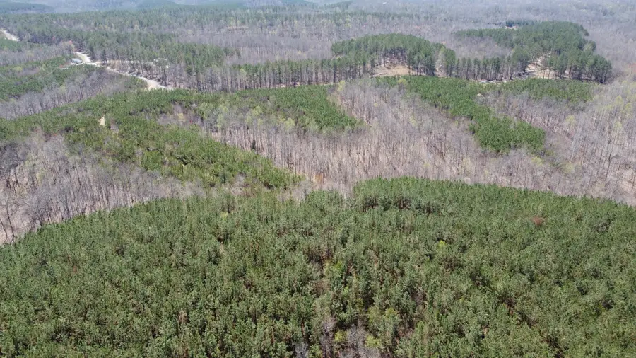 0 Sassafras Stand Ridge Road, Linden, TN 37096 - #2