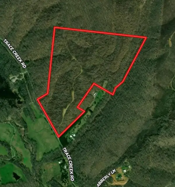 0 Trace Creek Rd, Hohenwald, TN 38462