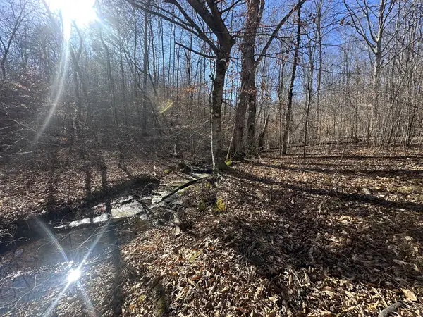 0 Rack Clayton Road, Hohenwald, TN 38462