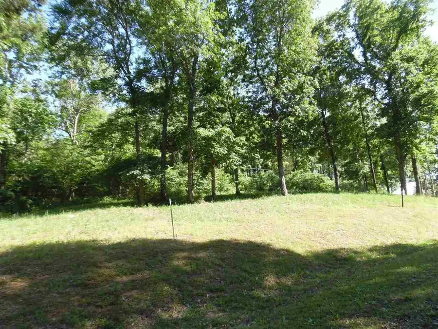 0 Adam Loop, Bath Springs, TN 38311 - #3