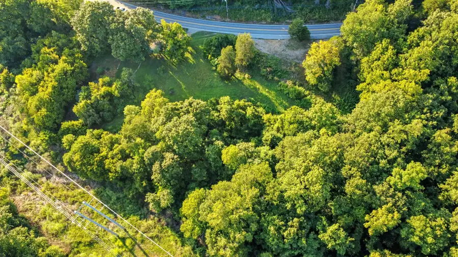 1986 Highway 76, Adams, TN 37010 - Image #3