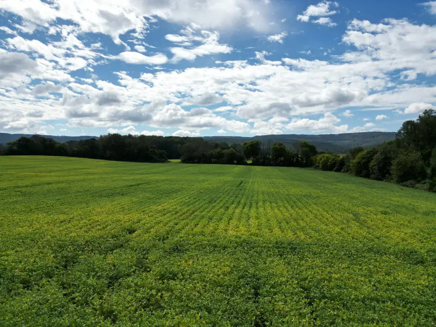 0 Holders Cove Rd, Winchester, TN 37398 - #2