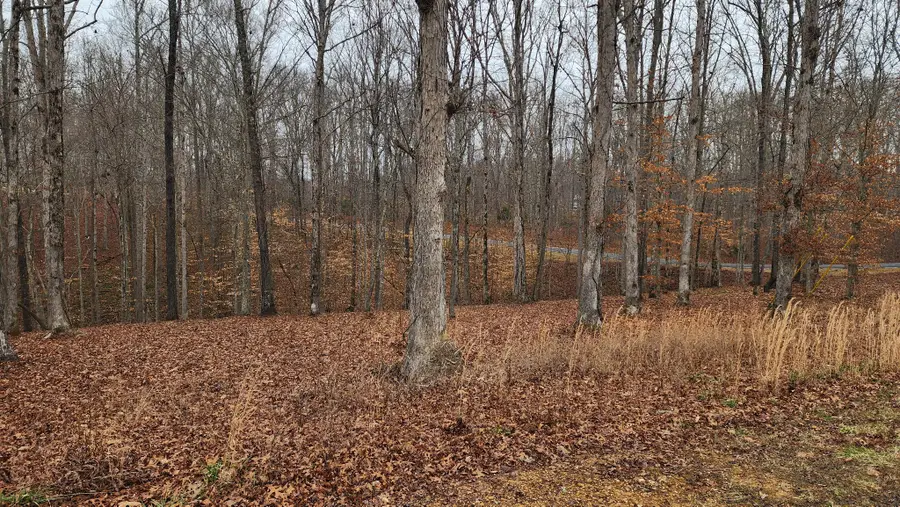 0 Riverwatch Trce, Sparta, TN 38583 - Image #3