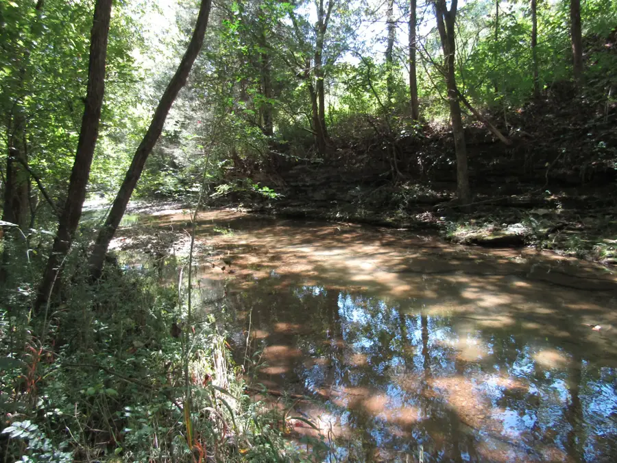 14 Ac Hartsville Rd, Lafayette, TN 37083 - #3