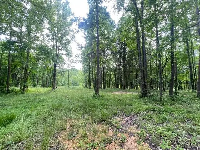 340 Delta Queen Cv, Clifton, TN 38425 - #2