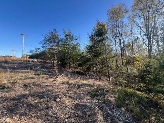 44 James Ridge Rd, Clifton, TN 38425 - #2