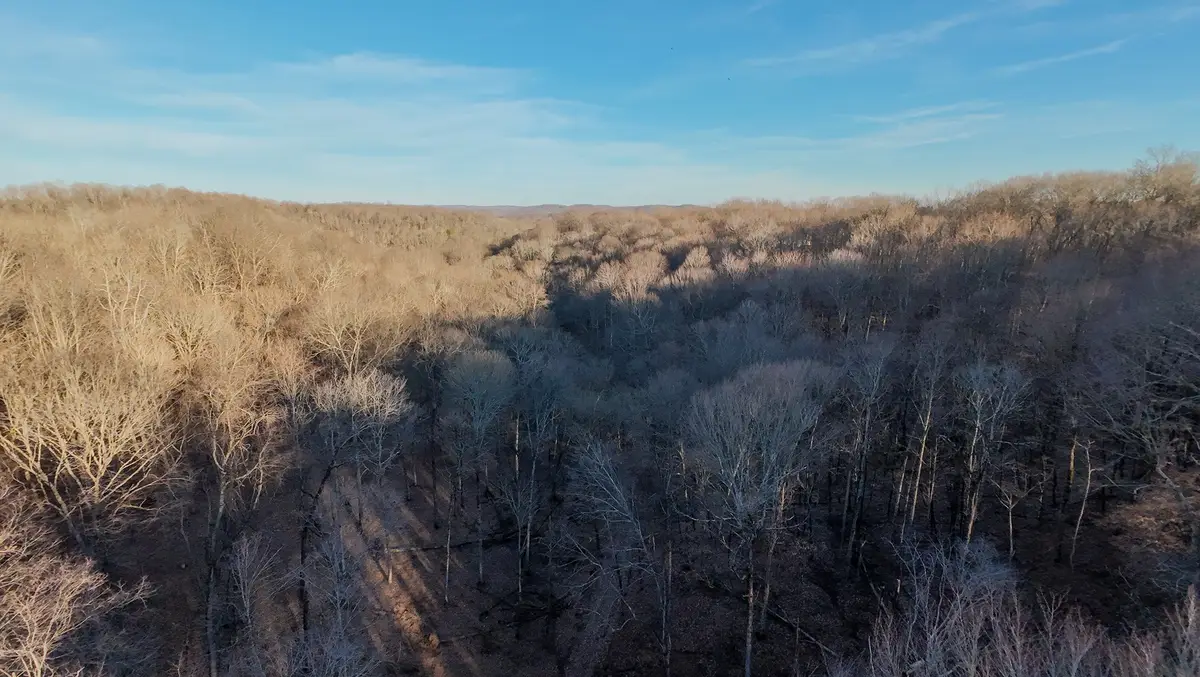 1843D Garrison Branch Rd, Cottontown, TN 37048 - Image #1