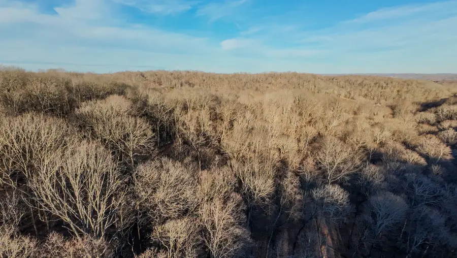 1843D Garrison Branch Rd, Cottontown, TN 37048 - Image #3