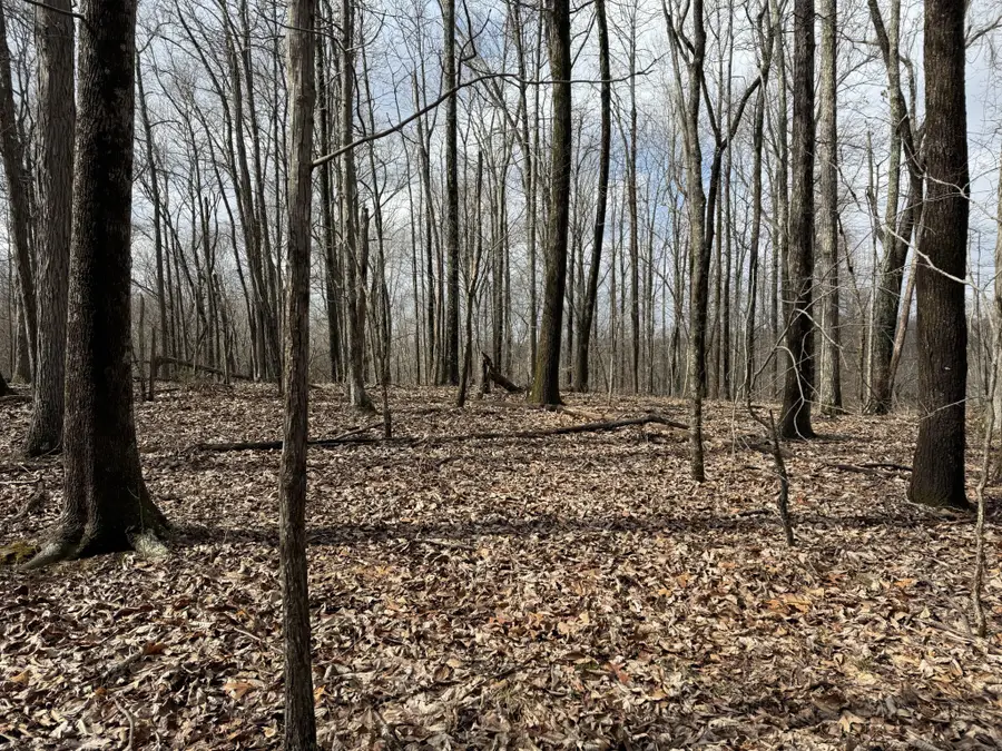 0 Hester Beasley Rd Lot 1, Nashville, TN 37221 - Image #2