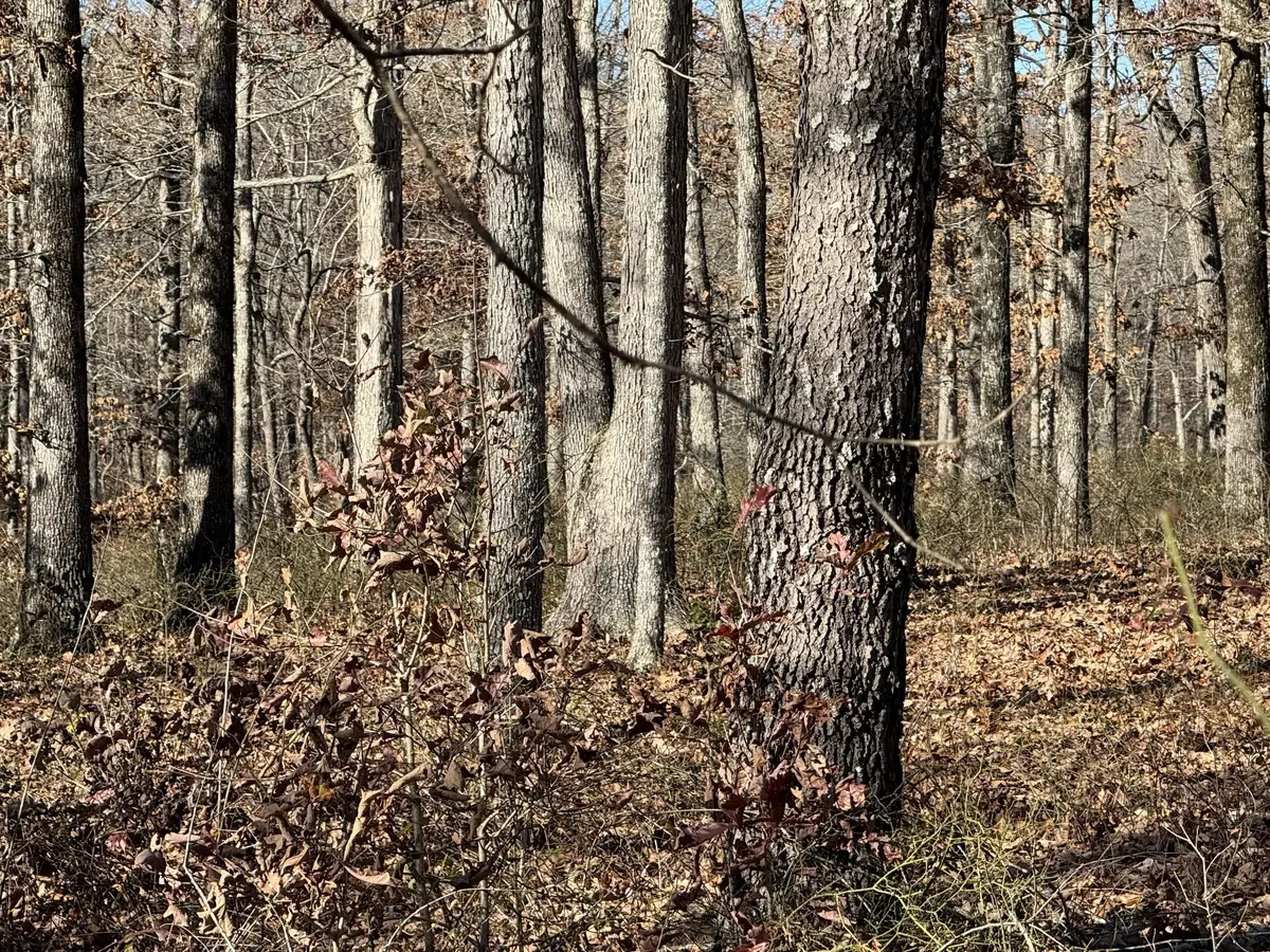 0 Ridgewood Drive, McEwen, TN 37101 - Image #1