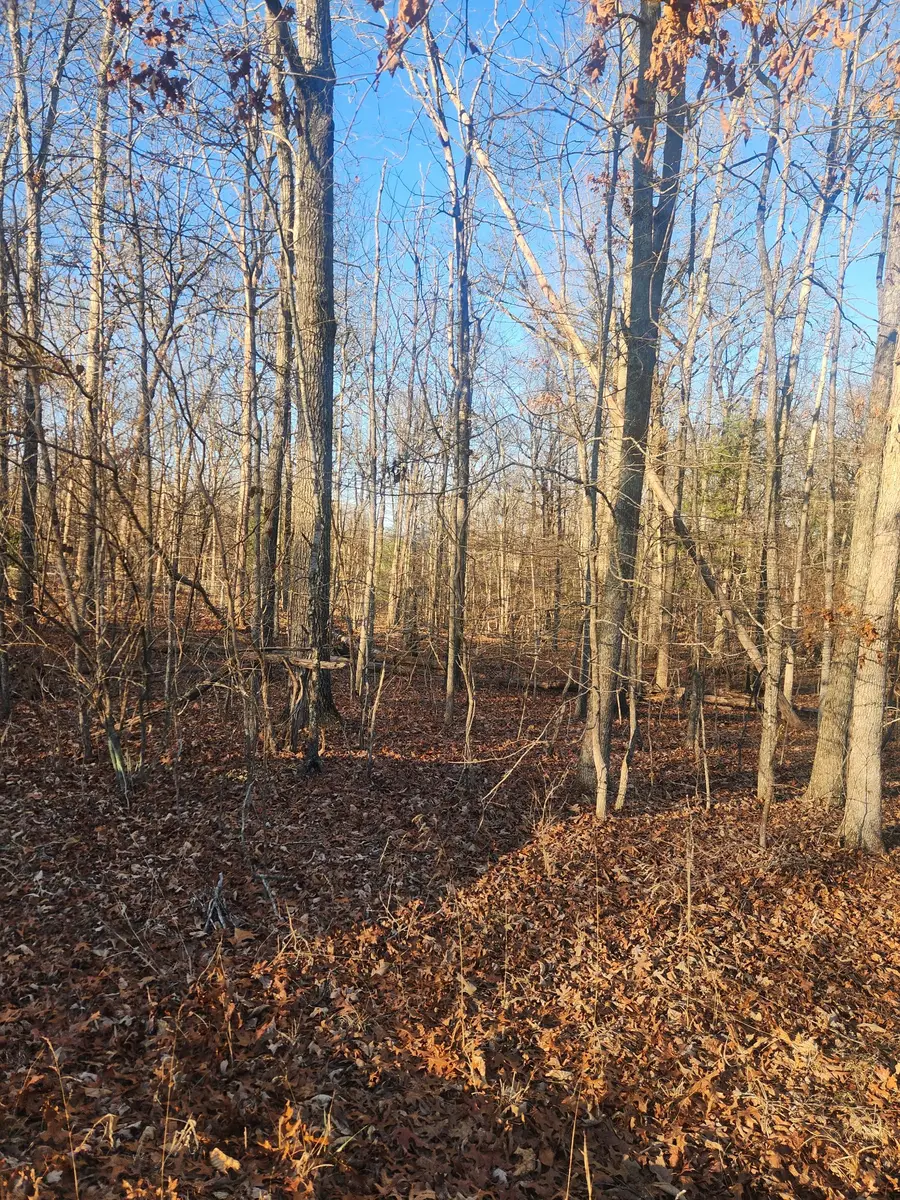 9047 Weketa Dr, Crossville, TN 38572 - Image #3