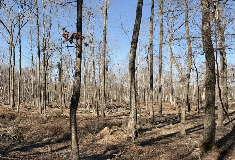 3972 Baggett Rd, Springfield, TN 37172 - Image #2