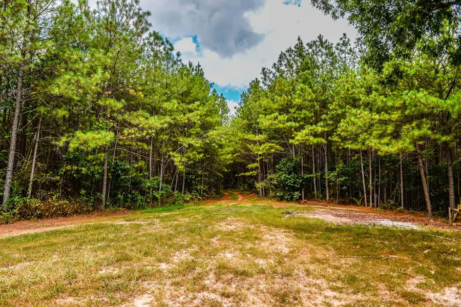 0 Brush Creek Road, Hohenwald, TN 38462 - Image #2
