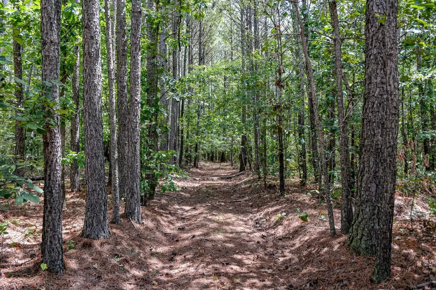 0 Brush Creek Road, Hohenwald, TN 38462 - Image #3