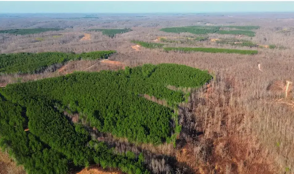 39 Ivy Hollow Ln, Stewart, TN 37175 - Image #1