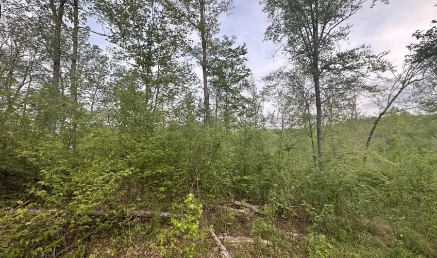 39 Ivy Hollow Ln, Stewart, TN 37175 - Image #2