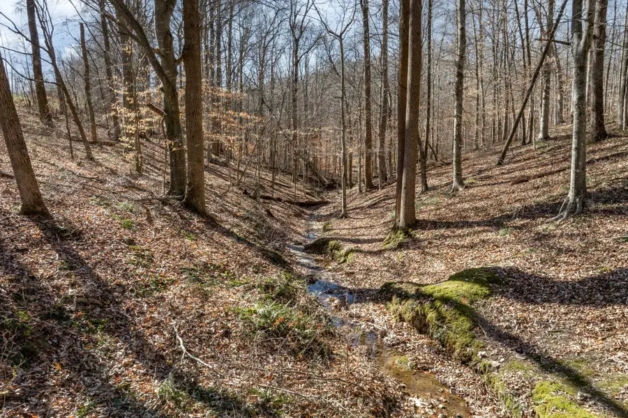 5675 Natchez Trace Rd, Franklin, TN 37064 - #3