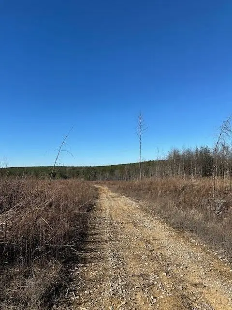 3 50th Avenue, Gruetli Laager, TN 37339 - #2
