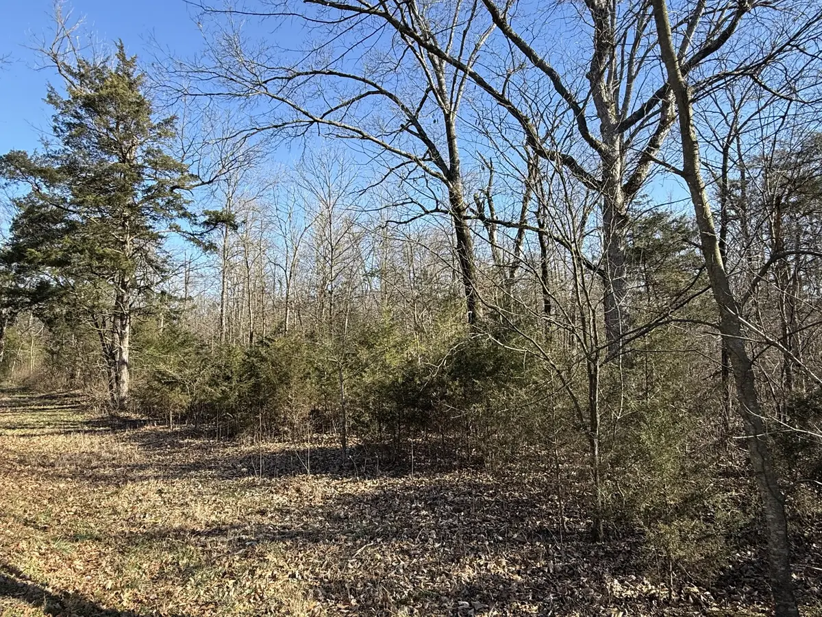 0 Warner Bridge Rd, Shelbyville, TN 37160 - #1