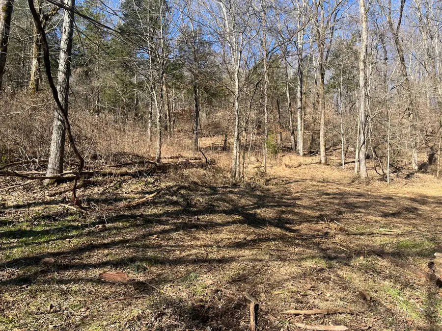 0 Cathcart Rd, Frankewing, TN 38459 - Image #3