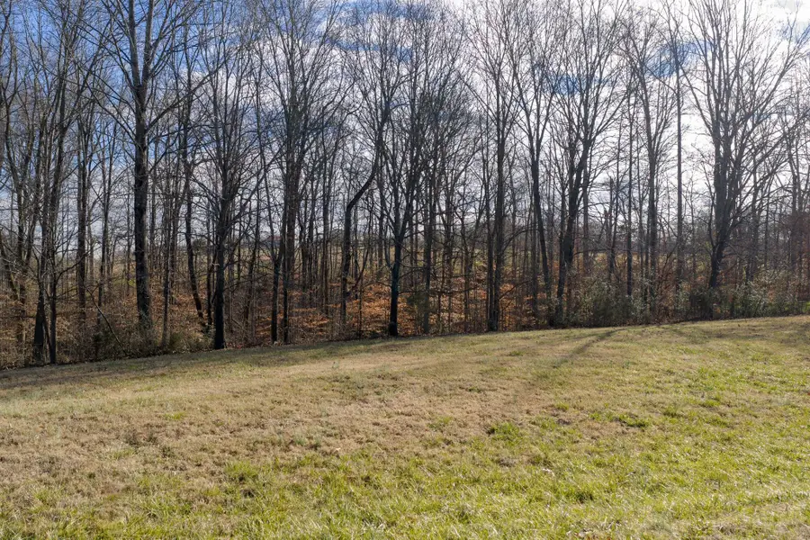 7322 Taylor Road, Fairview, TN 37062 - Image #2