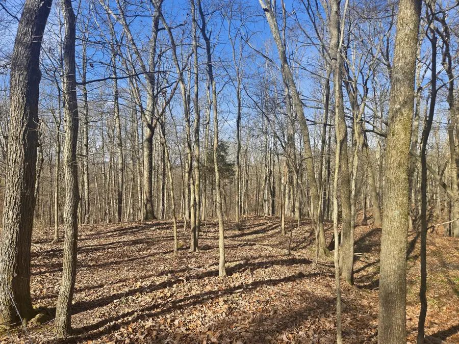 0 Buckeye Road, Cumberland City, TN 37050 - Image #3