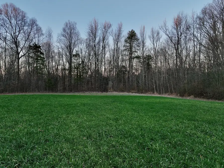 1 Kermet Turner Rd, Rock Island, TN 38581 - Image #2