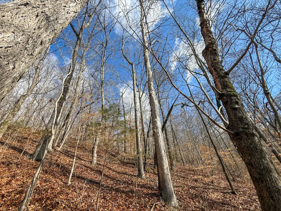 0 Carr Creek Road, Normandy, TN 37360 - #2