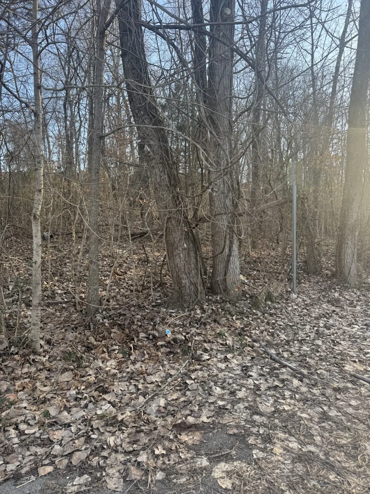 708 Peachers Dr, Clarksville, TN 37042 - Image #1