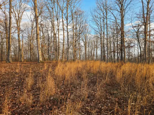 0 Havenwood Rd, Mc Ewen, TN 37101