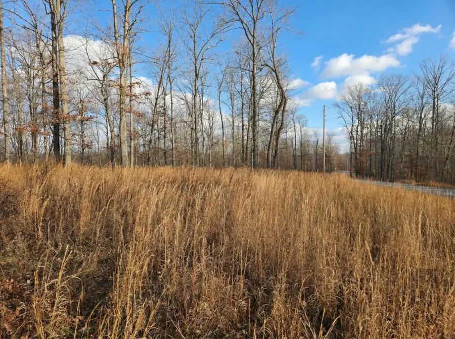 0 Havenwood Rd, Mc Ewen, TN 37101 - Image #2